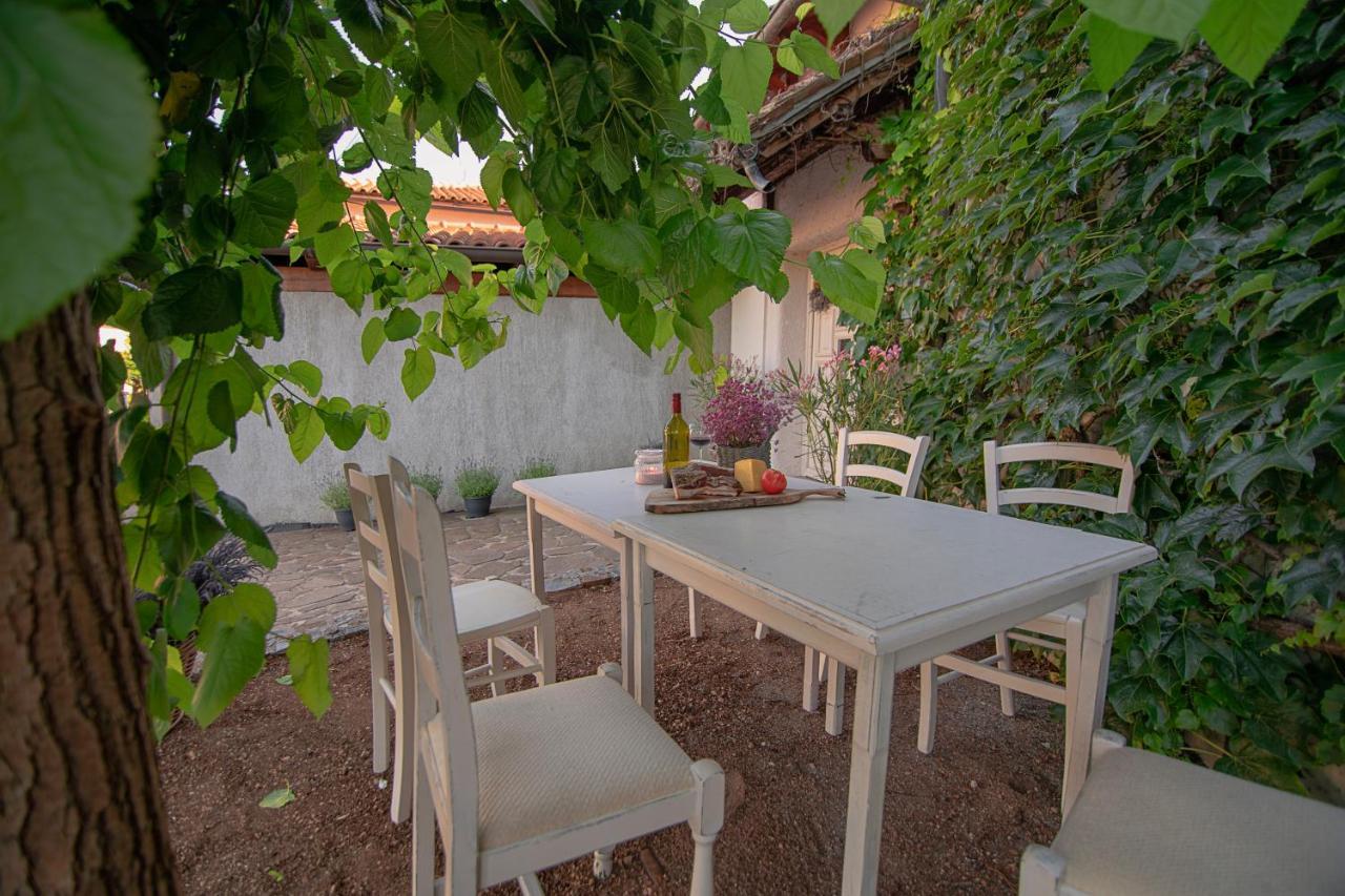 Apartment Ana - Karst Cycling Paradise Dutovlje Eksteriør billede