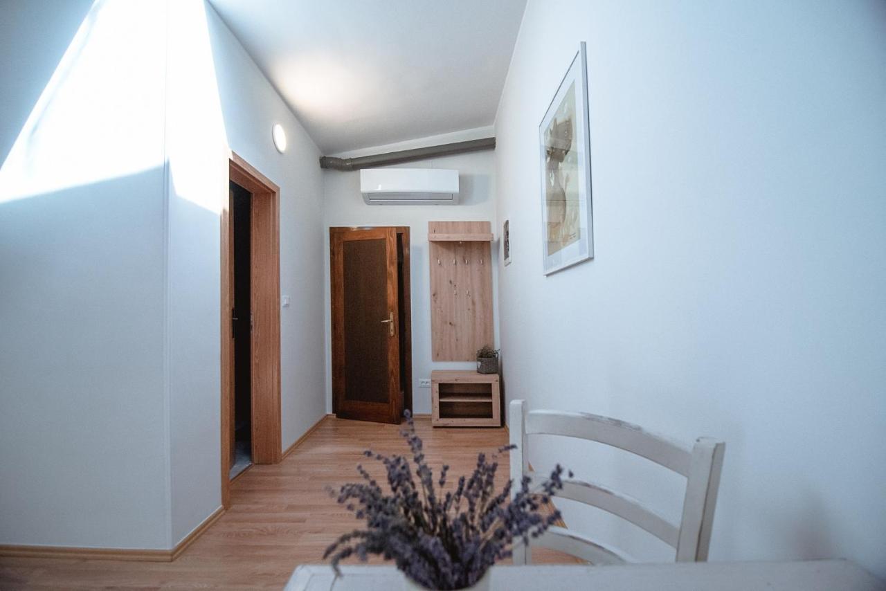 Apartment Ana - Karst Cycling Paradise Dutovlje Eksteriør billede