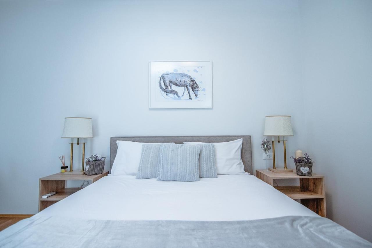 Apartment Ana - Karst Cycling Paradise Dutovlje Eksteriør billede